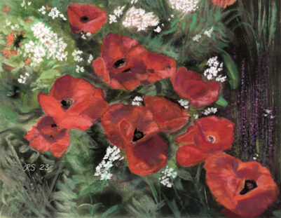 RSterling-Poppies