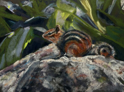 ChipmunkMaryAnnMullettClass-RSss