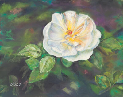 Homegrown-Rose-B